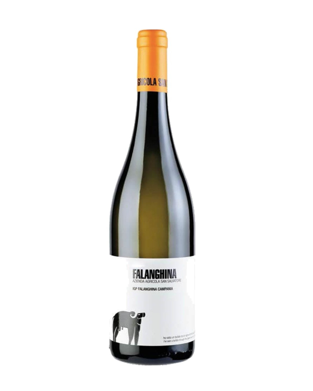 Campania Falanghina IGP 2019 - San Salvatore