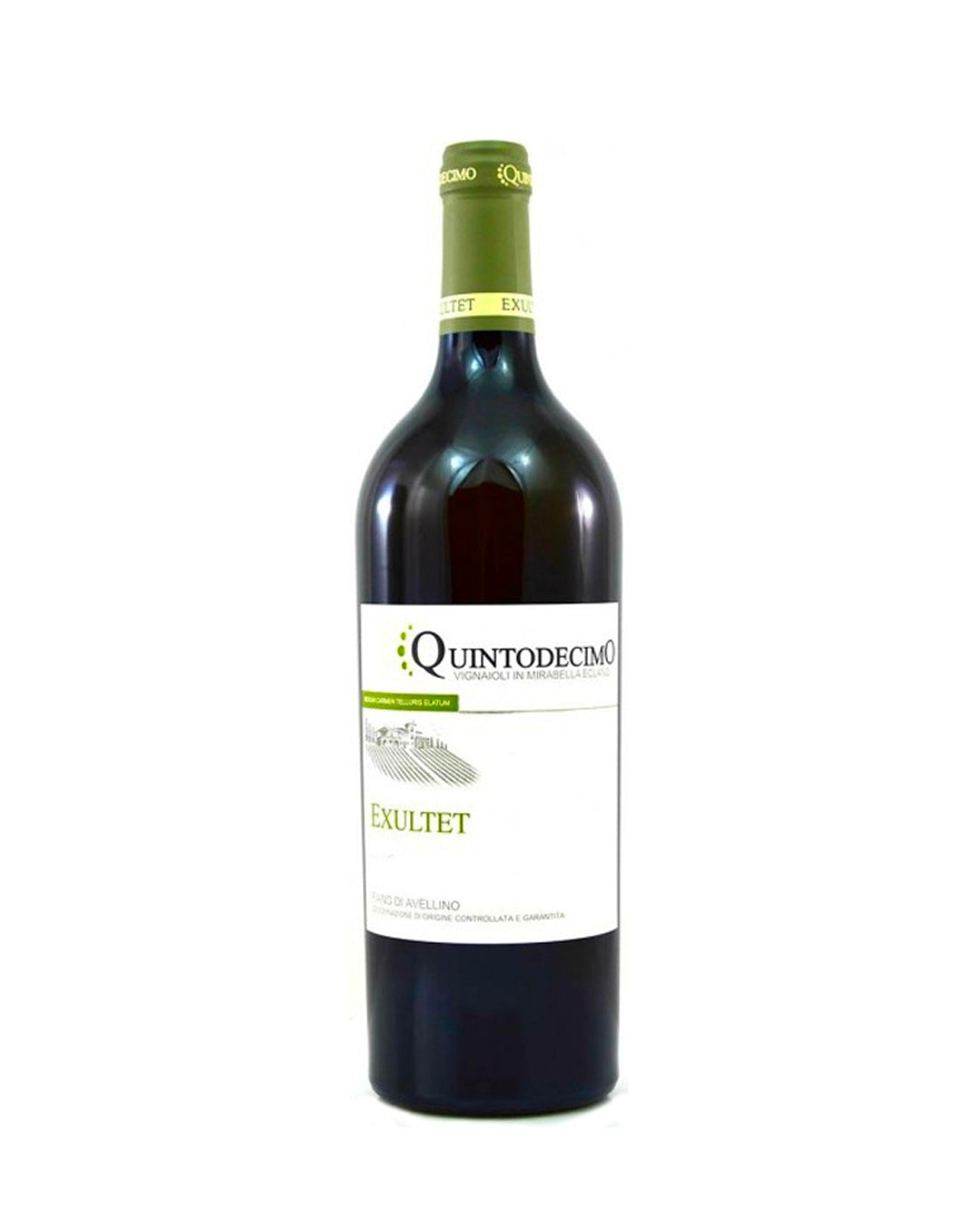 Fiano Di Avellino Exultet Quintodecimo
